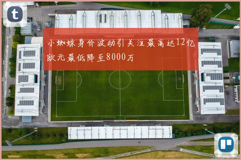 小蜘蛛身价波动引关注最高达12亿欧元最低降至8000万